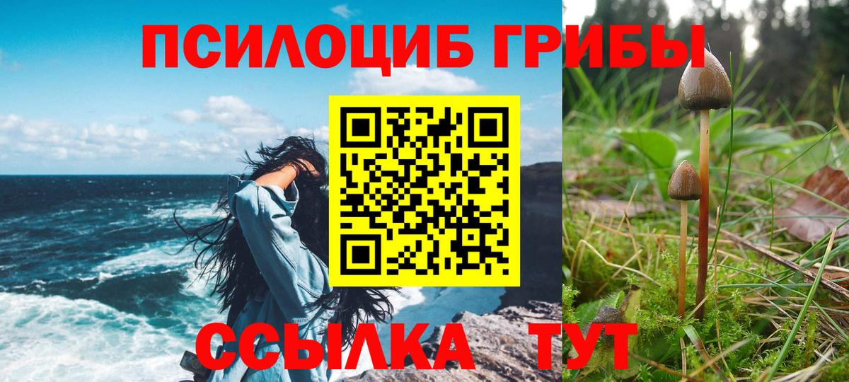 Галлюциногенные грибы GOLDEN TEACHER Гусь-Хрустальный